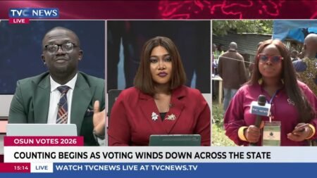 Osun Votes 2026: Sorting, Counting Begin As Voting Ends In Major Parts