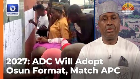 Osun Election Is A Forerunner Of How 2027 Poll Will Look Like, Oppositions Should Prepare – Okonkwo