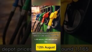 Nigeria News 12th August 2026 #news Nigeria News 12th August 2026 #news