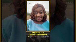 Tax Revenue Hits N27tn After 113% Surge: Report | WION Shorts Tax Revenue Hits N27tn After 113% Surge: Report | WION Shorts
