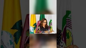 Bianca Odumegwu-Ojukwu Calls on AU for Fresh Peace Funding Strategies Bianca Odumegwu-Ojukwu Calls on AU for Fresh Peace Funding Strategies