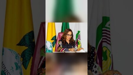 Bianca Odumegwu-Ojukwu Calls on AU for Fresh Peace Funding Strategies Bianca Odumegwu-Ojukwu Calls on AU for Fresh Peace Funding Strategies