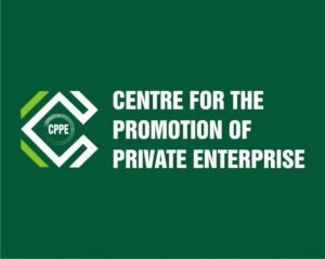 CPPE urges CBN to rethink development finance, says real sector faces N50tn funding gap CPPE urges CBN to rethink development finance, says real sector faces N50tn funding gap