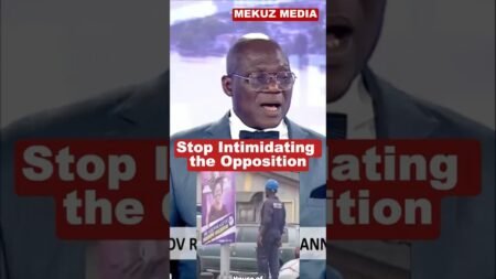 Stop Intimidating the Opposition_ Protecting Democracy in Nigeria. #Tinubu #TinubuNews #AriseNews