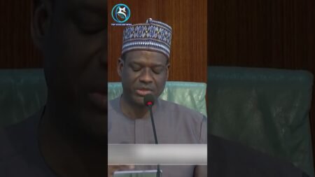 NEC: NIGERIA’S ECONOMY REMAINS STABLE