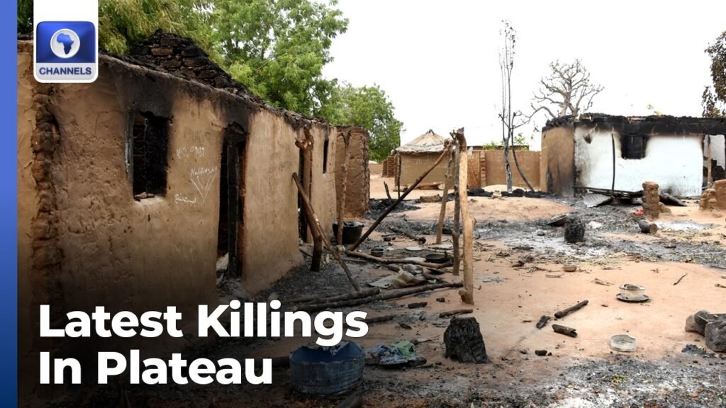 Mangu Attacks: Enough Is Enough With The Killings In Nigeria – President, Save Nigeria Group