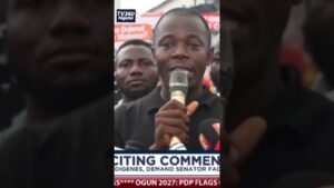 Analyst attributes Adeleke’s win to  performance, APC crisis, high cost of living crisis copy