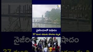 నైజీరియాలో విషాదం 37 మంది చమురు దొంగలు మృతి #Nigeria #RiversState #NigeriaNews #OilPipeline నైజీరియాలో విషాదం 37 మంది చమురు దొంగలు మృతి #Nigeria #RiversState #NigeriaNews #OilPipeline