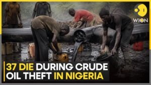 37 Dead After Inhaling Toxic Fumes in Nigeria Pipeline Oil Theft | WION 37 Dead After Inhaling Toxic Fumes in Nigeria Pipeline Oil Theft | WION