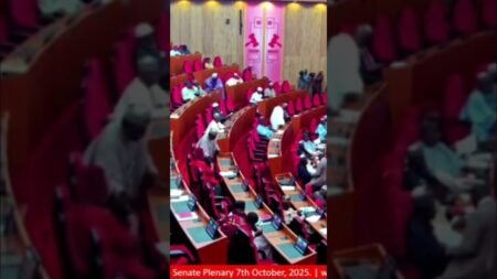 Akpabio’s wife brings babalawo to senate #nigerianews #nigerianpolitics #nigeria #godswillakpabio Akpabio’s wife brings babalawo to senate #nigerianews #nigerianpolitics #nigeria #godswillakpabio
