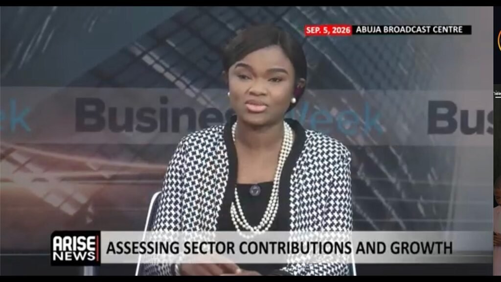 4% is not sufficient for the growth Nigeria’s needs — Ubah, Adegunle