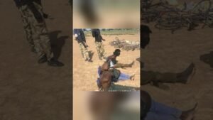 Troops Apprehend Four, Eleven Terrorists Surrender in Yobe Operations Troops Apprehend Four, Eleven Terrorists Surrender in Yobe Operations