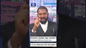 Niger Miners’ Deaths: I’ll Expose Those Who Try To Cover Up During Probe — Deji Adeyanju Niger Miners’ Deaths: I’ll Expose Those Who Try To Cover Up During Probe — Deji Adeyanju