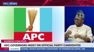 Analysis: Why Wike, APC Governors Clashed Over Rainbow Coalition Analysis: Why Wike, APC Governors Clashed Over Rainbow Coalition