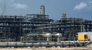 Dangote Refinery to give retail investors 1 extra share for every 10 held annually in first two years of listing Dangote Refinery to give retail investors 1 extra share for every 10 held annually in first two years of listing