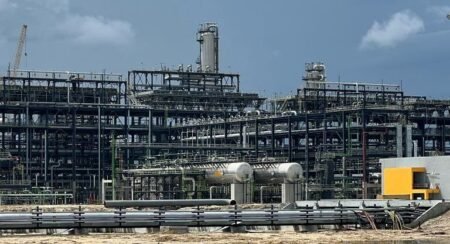 Dangote Refinery to give retail investors 1 extra share for every 10 held annually in first two years of listing Dangote Refinery to give retail investors 1 extra share for every 10 held annually in first two years of listing