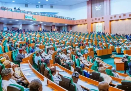Tinubu asks Reps to pass NDDC 2026 statutory budget