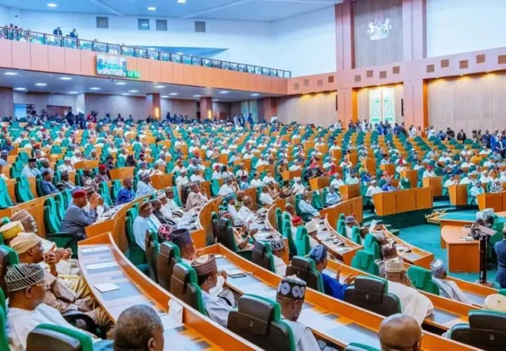 Tinubu asks Reps to pass NDDC 2026 statutory budget Tinubu asks Reps to pass NDDC 2026 statutory budget