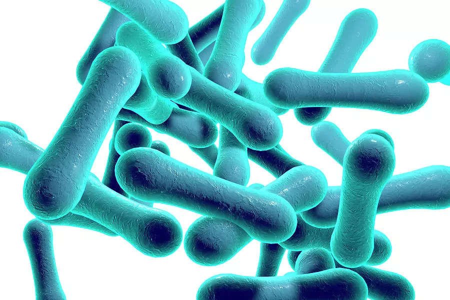 Diphtheria outbreak kills 15, infects 117 in Plateau Diphtheria outbreak kills 15, infects 117 in Plateau