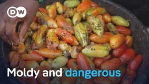 Why millions in Nigeria are risking their health to eat, as food costs soar | DW News