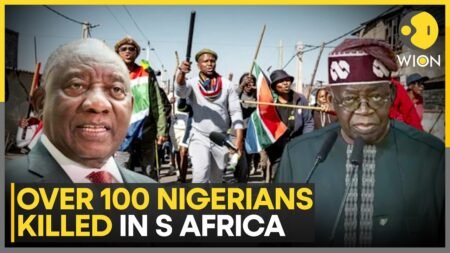 Nigeria Issues Stern Warning to South Africa | WION News Nigeria Issues Stern Warning to South Africa | WION News