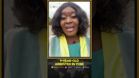9-Year-Old Arrested In Yobe Over Alleged Family Killings | WION Shorts 9-Year-Old Arrested In Yobe Over Alleged Family Killings | WION Shorts