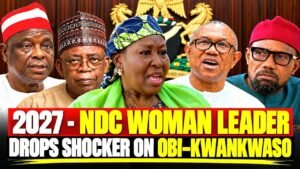 2027 – NDC Woman Leader Blows Hot On Tinubu – Drops Shocker On Peter Obi & Kwankwaso Ticket.