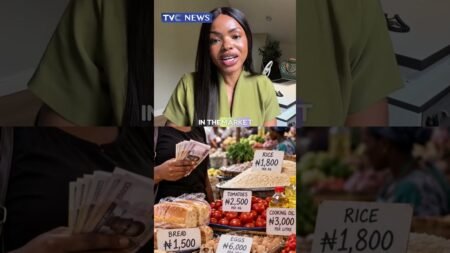 Can Nigeria’s Improving Economic Numbers Translate to Lower Prices, More Jobs, Affordable Food? Can Nigeria’s Improving Economic Numbers Translate to Lower Prices, More Jobs, Affordable Food?