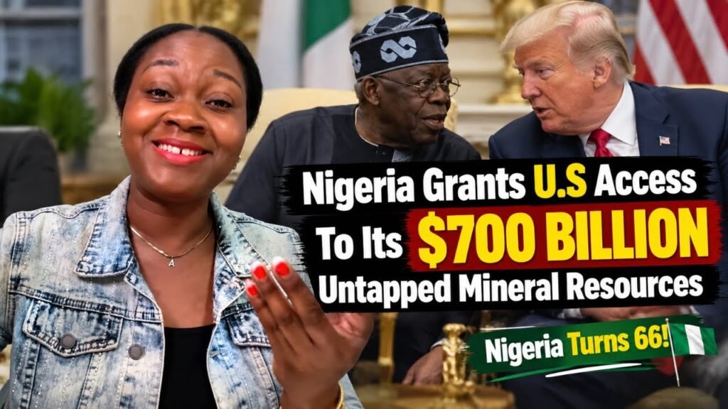 Nigeria Grants U.S Access To Its 0 Billion Untapped Mineral Resources Nigeria Grants U.S Access To Its 0 Billion Untapped Mineral Resources