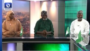 Nigeria @ 66: The Challenge Of Leadership And Followership Nigeria @ 66: The Challenge Of Leadership And Followership