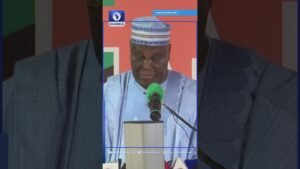 Independence Day Speech: Nigerians Need To Feel Tinubu’s Promises    Atiku