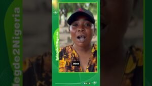 Nigeria at 66. Are we independent? #nigeria #news #interview #shorts