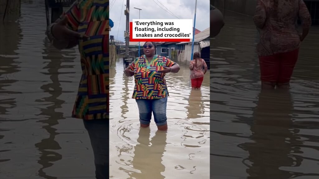 ‘Everything was floating, including snakes and crocodiles’ – BBC Africa