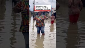 ‘Everything was floating, including snakes and crocodiles’ – BBC Africa ‘Everything was floating, including snakes and crocodiles’ – BBC Africa
