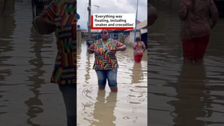 ‘Everything was floating, including snakes and crocodiles’ – BBC Africa ‘Everything was floating, including snakes and crocodiles’ – BBC Africa
