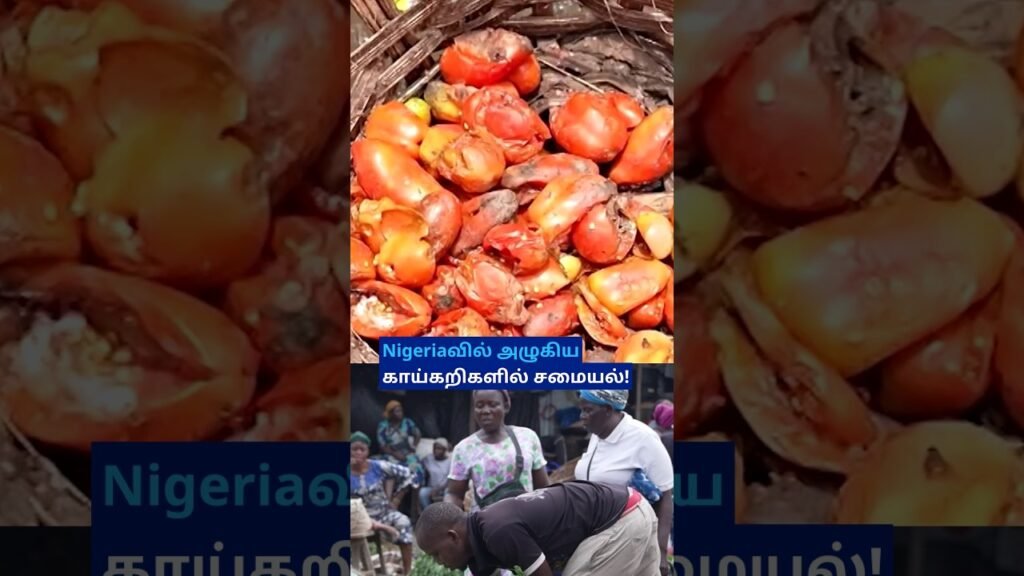 Nigeria: “அழுகிய Vegetablesல் சமைக்கிறோம்” – விலைவாசி ஏற்றத்தால் மோசமான நிலை; உச்சத்தில் Food Crisis Nigeria: “அழுகிய Vegetablesல் சமைக்கிறோம்” – விலைவாசி ஏற்றத்தால் மோசமான நிலை; உச்சத்தில் Food Crisis