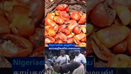 Nigeria: “அழுகிய Vegetablesல் சமைக்கிறோம்” – விலைவாசி ஏற்றத்தால் மோசமான நிலை; உச்சத்தில் Food Crisis