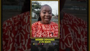 Nigeria Pushes for Two Permanent UN Seats | WION Shorts