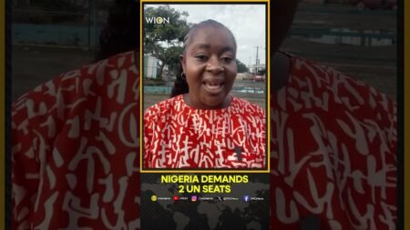 Nigeria Pushes for Two Permanent UN Seats | WION Shorts