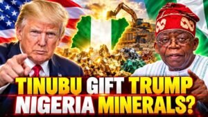 Tinubu Gift Trump’s America Full Access To The Nigeria Minerals. What?