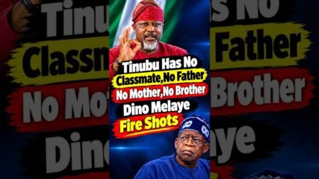 Tinubu Has No Father No Mother,No Brother,No Classmate_ Dino Melaye Fire Shots Tinubu Has No Father No Mother,No Brother,No Classmate_ Dino Melaye Fire Shots