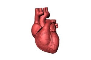 Cardiologist warns military personnel of hypertension, heart disease risks Cardiologist warns military personnel of hypertension, heart disease risks