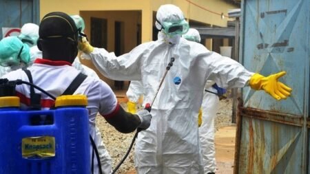 Africa CDC probes possible link between Ebola cases in Nigeria, Kenya Africa CDC probes possible link between Ebola cases in Nigeria, Kenya