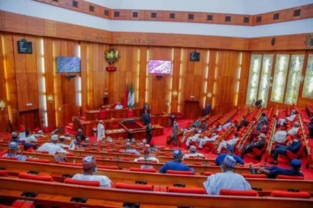 Senate confirms ex-sports minister Ndanusa as ambassador Senate confirms ex-sports minister Ndanusa as ambassador